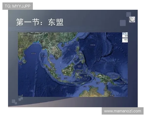 维多利亚国际贸易的崛起与未来发展趋势探讨