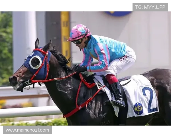 hkjc app正规官网：最权威的香港赛马会官方应用下载指南与安全保障