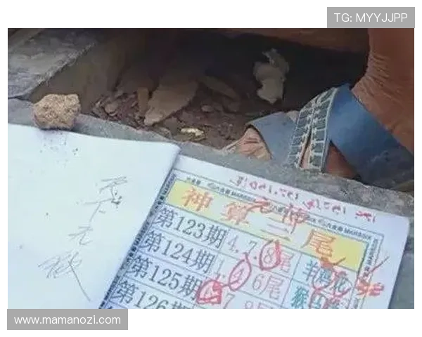 2026新澳门六合彩历史开奖记录与趋势分析助你精准把握中奖机会