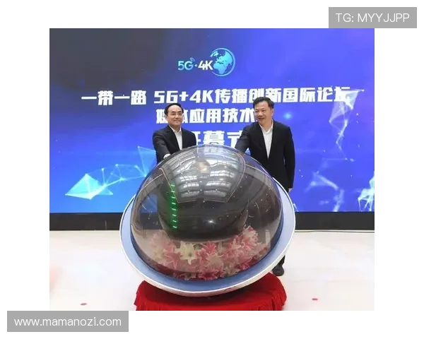 华都娱乐有限公司在网络游戏行业中的创新技术应用与市场拓展