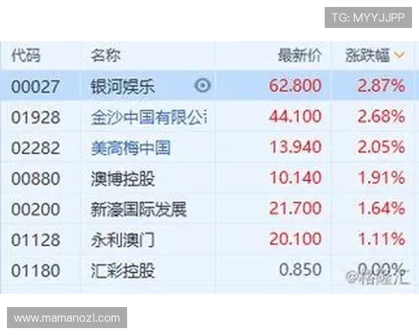 澳门博彩股份有限公司的盈利模式与财务表现分析报告